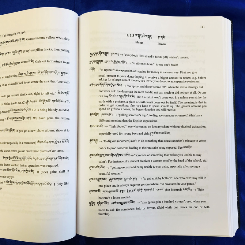 Colloquial and Literary Tibetan: Practical Usage - Image 2