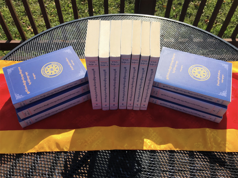 Collected Works of Yongdzin Tenzin Namdak Rinpoche, 13 volume set (in Tibetan) - Image 2