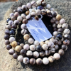 Picture Jasper Mala - Image 3