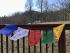 Windhorse (Lungta) – Prayer Flags set of 5