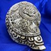 Conch with Auspicious Symbol, Temple Quality