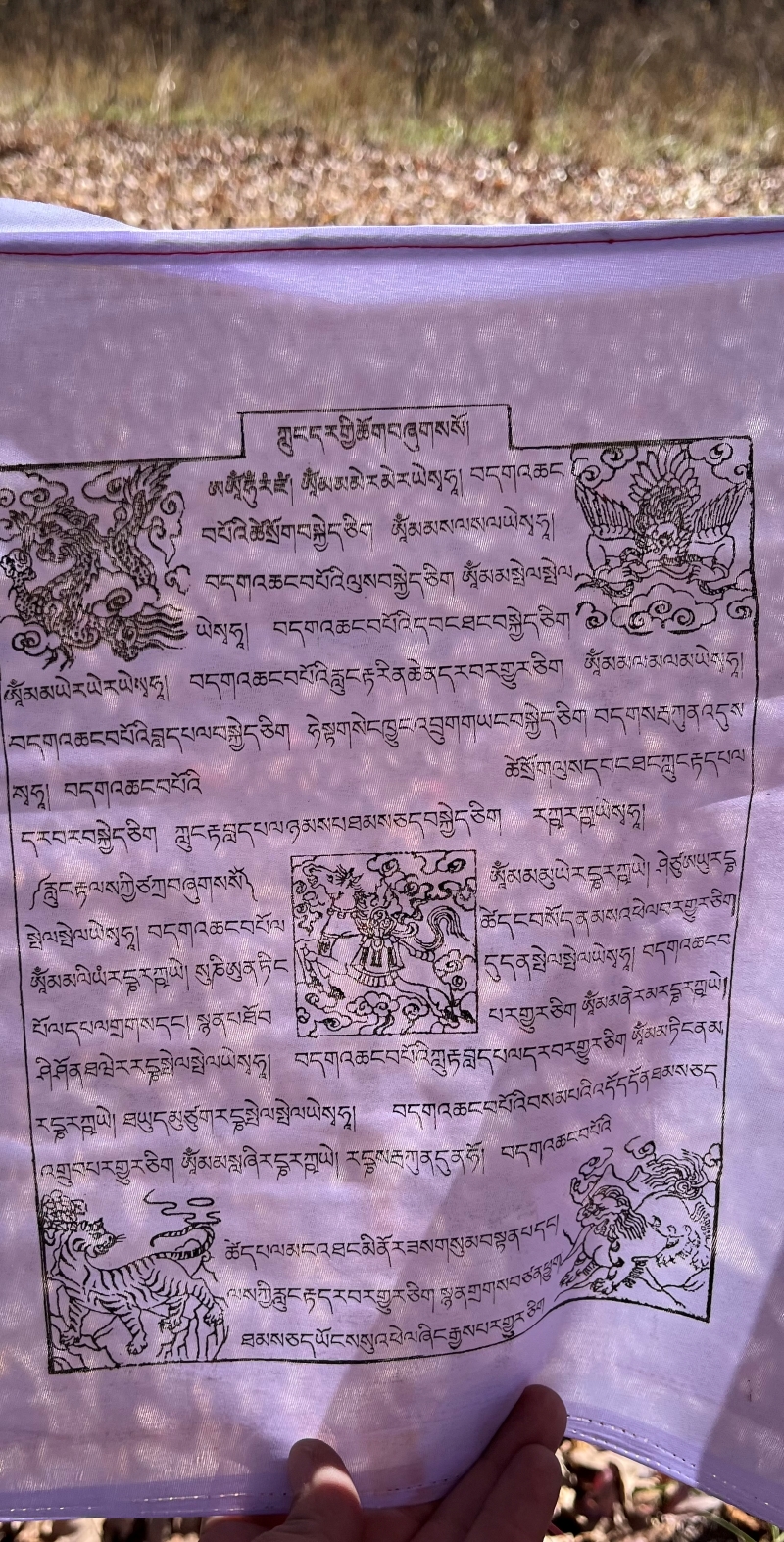 Windhorse Lungta Prayer Flags 15 Panel - Image 2
