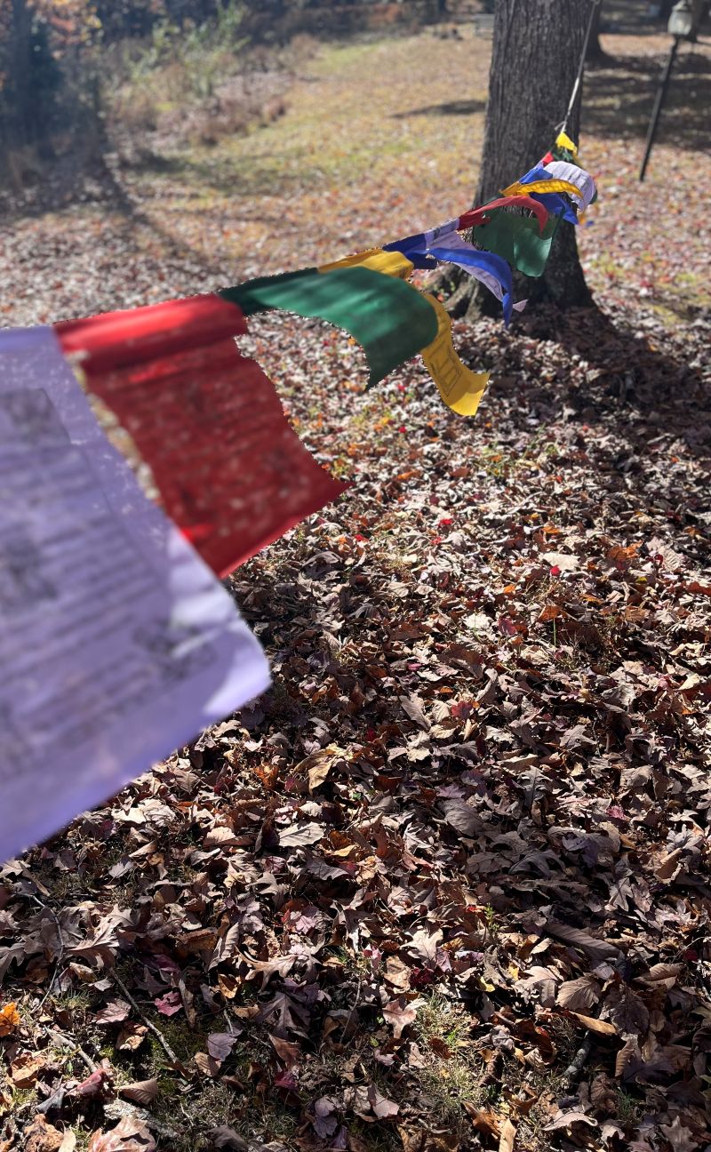 Windhorse Lungta Prayer Flags 15 Panel